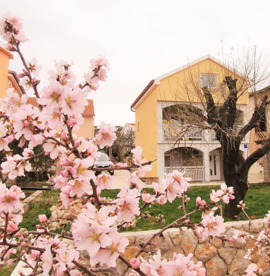 Apartmani Mala Sirena Maslenica Bagian luar foto